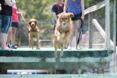 Image-2447-GRREAT-BBQ-2019-05-19-