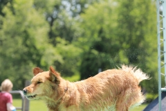 Image-2459-GRREAT-BBQ-2019-05-19-