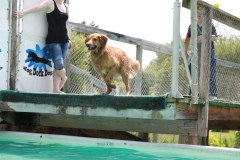 Image-2460-GRREAT-BBQ-2019-05-19-