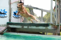 Image-2461-GRREAT-BBQ-2019-05-19-