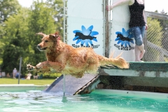 Image-2463-GRREAT-BBQ-2019-05-19-