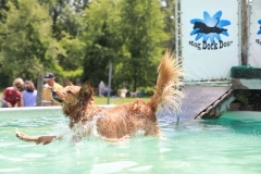 Image-2464-GRREAT-BBQ-2019-05-19-