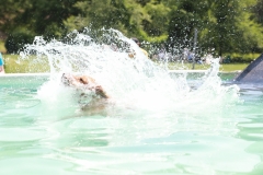 Image-2465-GRREAT-BBQ-2019-05-19-