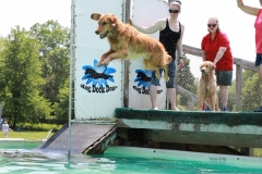 Image-2469-GRREAT-BBQ-2019-05-19-