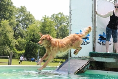 Image-2471-GRREAT-BBQ-2019-05-19-