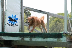 Image-2478-GRREAT-BBQ-2019-05-19-