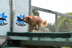 Image-2479-GRREAT-BBQ-2019-05-19-