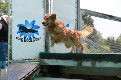 Image-2480-GRREAT-BBQ-2019-05-19-