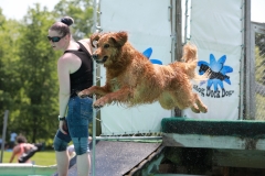 Image-2481-GRREAT-BBQ-2019-05-19-