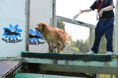 Image-2485-GRREAT-BBQ-2019-05-19-