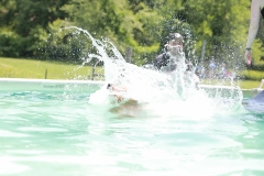 Image-2490-GRREAT-BBQ-2019-05-19-