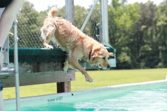 Image-2528-GRREAT-BBQ-2019-05-19-