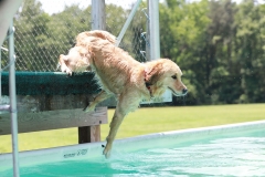 Image-2529-GRREAT-BBQ-2019-05-19-