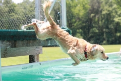 Image-2530-GRREAT-BBQ-2019-05-19-