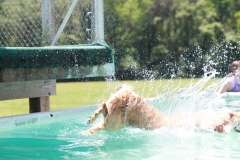 Image-2531-GRREAT-BBQ-2019-05-19-