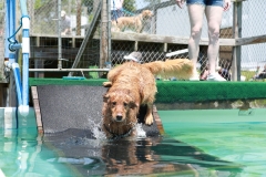 Image-2534-GRREAT-BBQ-2019-05-19-