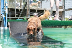 Image-2535-GRREAT-BBQ-2019-05-19-