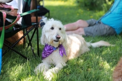 Image 2520 GRREAT BBQ 2019 05 19