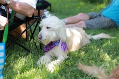 Image 2521 GRREAT BBQ 2019 05 19