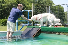 Image 2547 GRREAT BBQ 2019 05 19