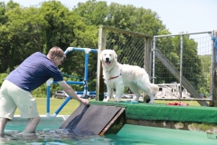 Image 2548 GRREAT BBQ 2019 05 19