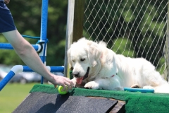 Image 2549 GRREAT BBQ 2019 05 19