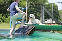 Image 2552 GRREAT BBQ 2019 05 19