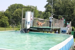 Image 2658 GRREAT BBQ 2019 05 19