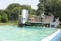 Image 2659 GRREAT BBQ 2019 05 19