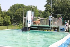 Image 2660 GRREAT BBQ 2019 05 19