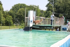 Image 2661 GRREAT BBQ 2019 05 19