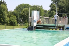 Image 2663 GRREAT BBQ 2019 05 19