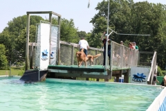 Image 2665 GRREAT BBQ 2019 05 19