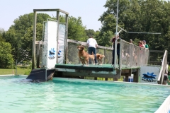 Image 2666 GRREAT BBQ 2019 05 19