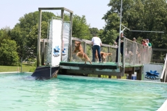 Image 2667 GRREAT BBQ 2019 05 19