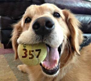 Molly14-023_RaffleBall