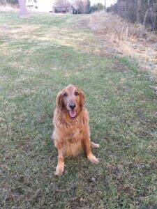 Duncan Photo1