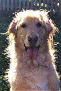 wilson2