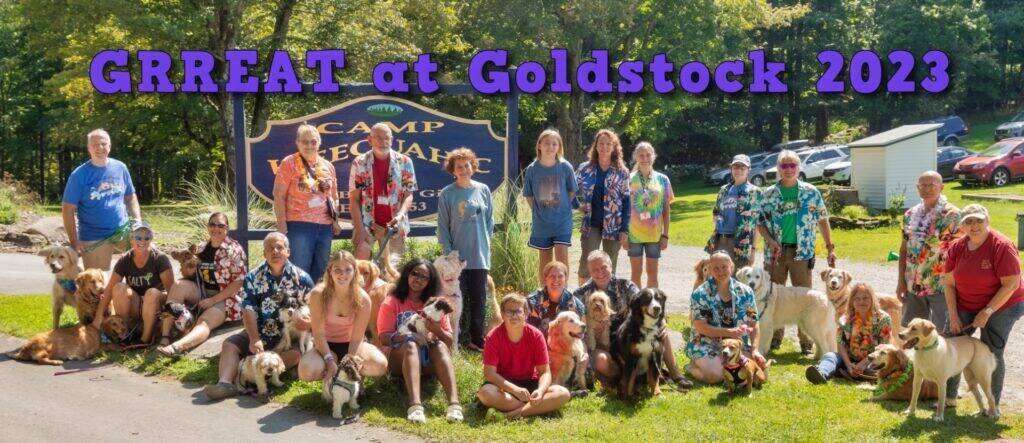 Goldstock 2023