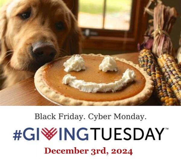 GivingTuesday2024 2