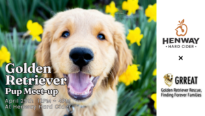 Henway Pup Meetup Series April 25th 2026 Goldens Henway Pup Meetup Series April 25th 2026 Goldens